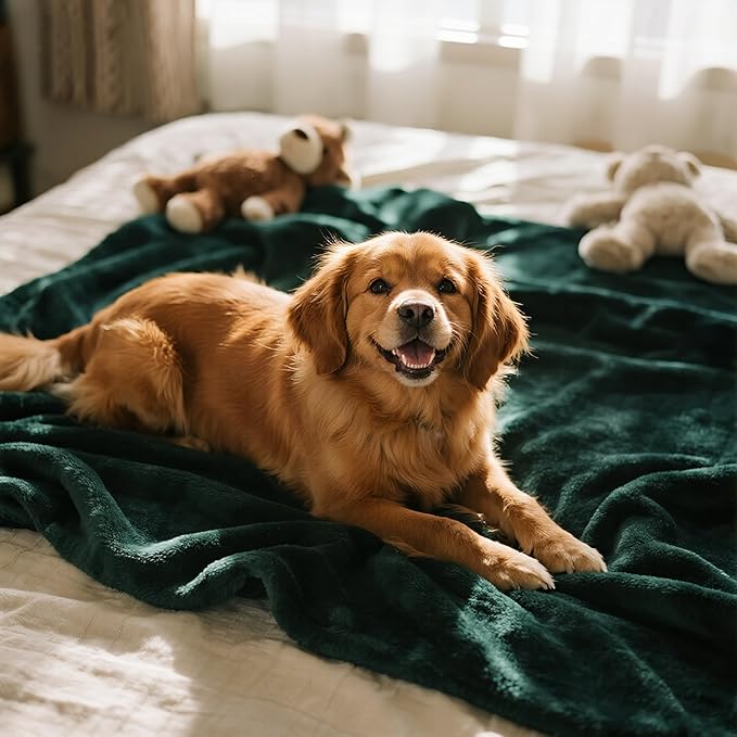 gogobunny Waterproof Bed Blanket, Reversible Sherpa Fleece Throw Blanket for Dog Puppy Cat, Furniture Cover Protects Bed Couch Sofa from Liquid Pee and Pet Fur (Forest Green, 60x80 inches)