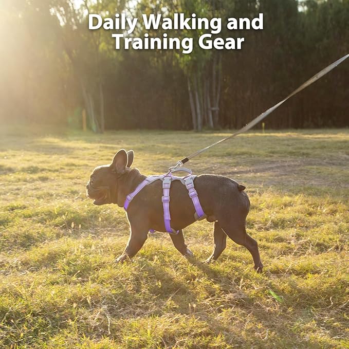 Huntboo Escape Proof Dog Harness, Secure Dog Harness No Escape,Fully Reflective Harness with Handle,Breathable,Durable,Adjustable Vest for Small Dogs Walking,Training & Running Gear(Lavender Purple,S)