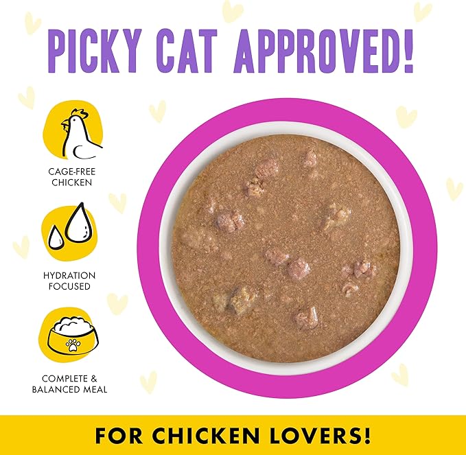 Weruva B.F.F. OMG - Best Feline Friend Oh My Gravy!, Chicken & Duck Dream Team with Chicken & Duck in Gravy, 5.5oz Can (Pack of 8)