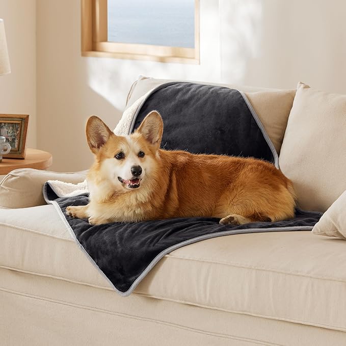 Bedsure Cat Blanket for Indoor Cats - Waterproof Calming Cat Blankets for Couch Protection, Sherpa Fleece Pet Blanket, Soft Plush Reversible Throw Furniture Protector, 50"x40", Black