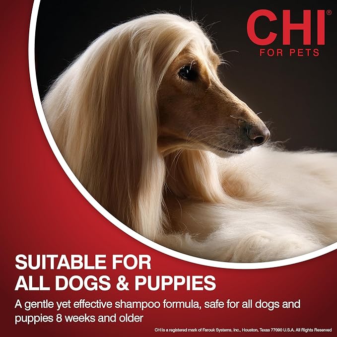 CHI for Dogs Deep Moisture Shampoo - Professional Dog Grooming Formula for Dry Coats - Hydrating and Nourishing Wash in Gallon Size for All Breeds and Hair Types, 128 Fl Oz