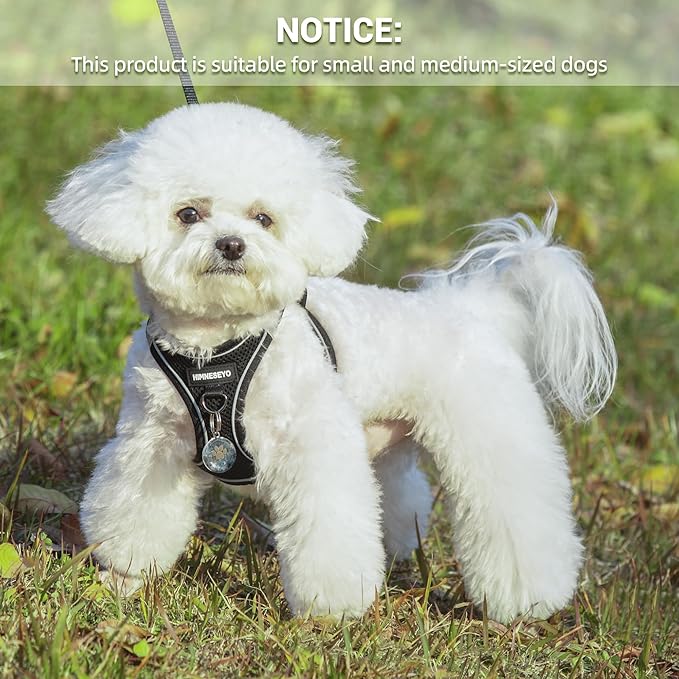 Dog Harness and Leash Set, Dog Harness for Dogs No Pull, No-Chock Step-in Reflective Breathable Lightweight Easy Walk Vest Harnesses with Safety Buckle for Small Medium Dogs, Cats (Black, S)