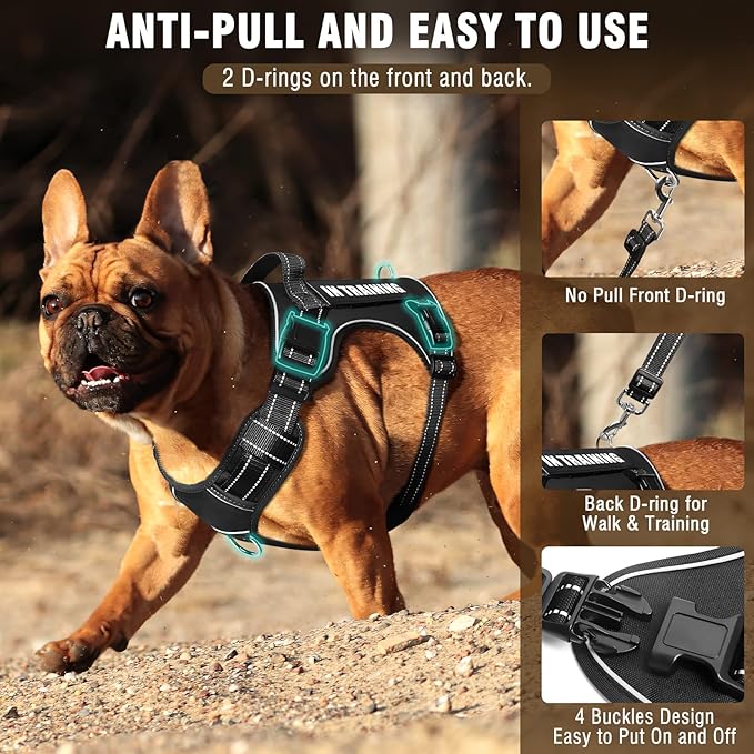 Tactical Dog Harness and Leash Set Medium Sized Dog,Heavy Duty No Pull Service Dog Vest and 10 Patches with Dog Seat Belt,Reflective Adjustable Pet Harness for Training Walking Hiking Black M
