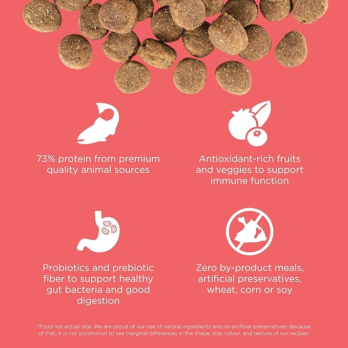 Go! Solutions Carnivore, Grain-Free, Protein Rich Dry Dog Food, Salmon and Cod Recipe, 22 lb Bag