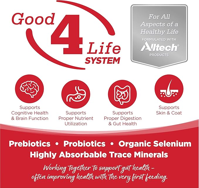 NutriSource Dry Dog Food for Large Breeds, Beef and Rice, 26LB