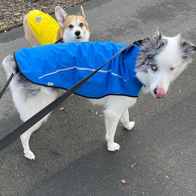 Mile High Life Dog Raincoat, Adjustable Waterproof Reflective Rain Jacket for Small Medium Large Dogs, Lightweight Breathable Pet Rain Coat with Leash Hole(Blue,XS Chest 17-23")