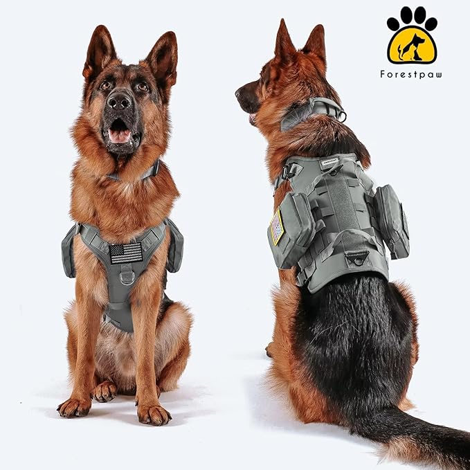 Forestpaw Tactical Dog Harness for Large Dogs,Tactical Dog Collar with Bungee Leash Set,No Pull Military Dog Harness for Walking Training,Adjustable for Medium Large Dogs,Gray,Chest 15.5-25.5"