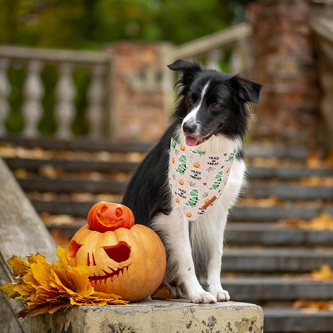 ADOGGYGO Halloween Dog Bandanas, Ghost Pumpkin Dinosaur Pet Scarf, Multi Size, Halloween Bandanas Costumes for Medium Large Dogs (Large)