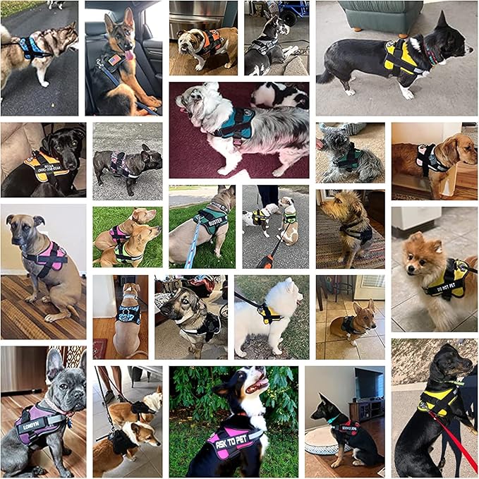 Bolux Dog Harness, No-Pull Reflective Dog Vest, Breathable Adjustable Pet Harness with Handle for Outdoor Walking - No More Pulling, Tugging or Choking Large (Pack of 1) RoseTurquoise