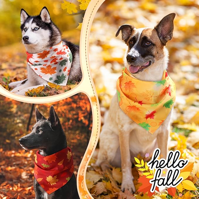 Chunful 60 Pcs Fall Bandanas for Dogs Autumn Maple Leaf Pumpkin Patterns Soft Bibs Adjustable Triangle Doggie Scarf for Small Medium Large Pet Costume(31.5 x 21.7 x 21.7 Inch)