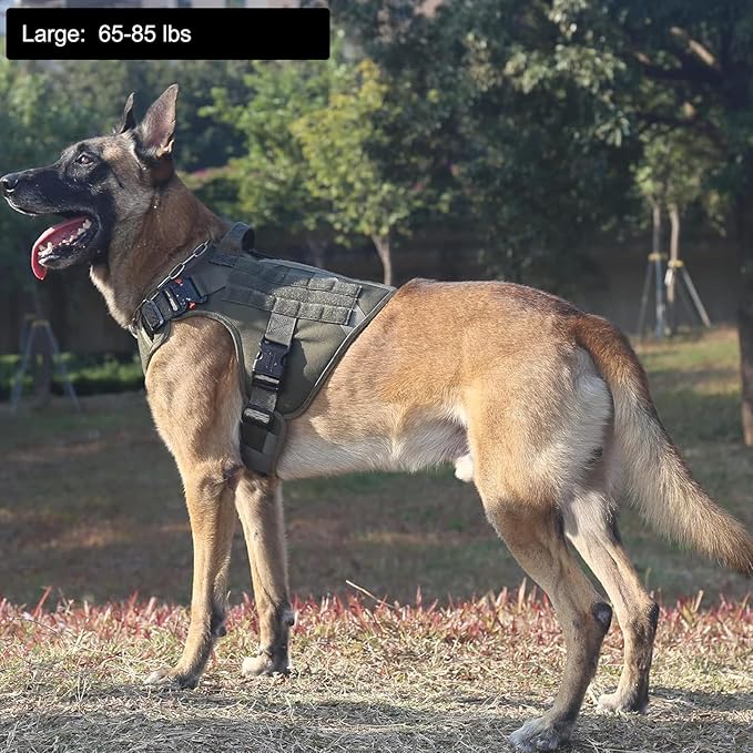 ICEFANG Tactical Dog Harness, Large Size,2X Metal Buckle,Working Dog MOLLE Vest with Handle,No Pulling Front Leash Clip,Hook and Loop Panel (Green,L (Pack of 1))