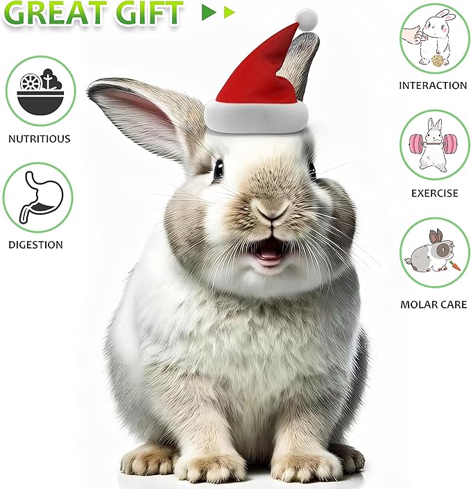 Rabbit Toys 13Pcs, Natural Hay Hamster Chew Toys for Teeth, Handmade Apple Wood Sticks Guinea Pig Bunny Toys Bunny Bed