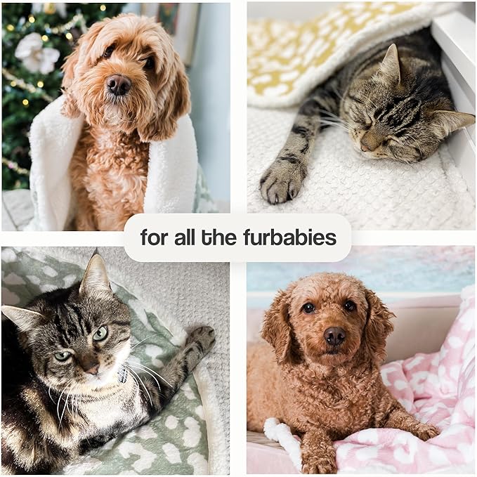 Cat Blanket for Indoor Cats – 29" Soft Sherpa Fleece Pet Throw, Washable Reversible Dog Blanket for Small Dogs, Cats, Kittens, Couch Bed Sofa Car Protector – Yellow