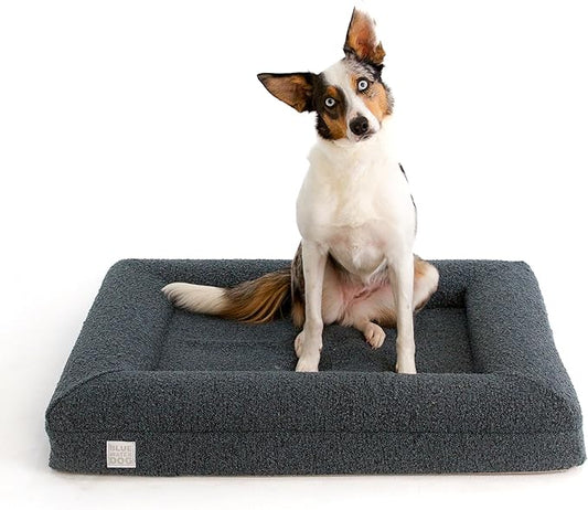 Luxury Boucle Orthopedic Memory Foam Dog Bed with Waterproof Liner and Machine Washable Cover with YKK Zippers (Medium, 37" L x 30" W x 6" Th, Ocean Blue)