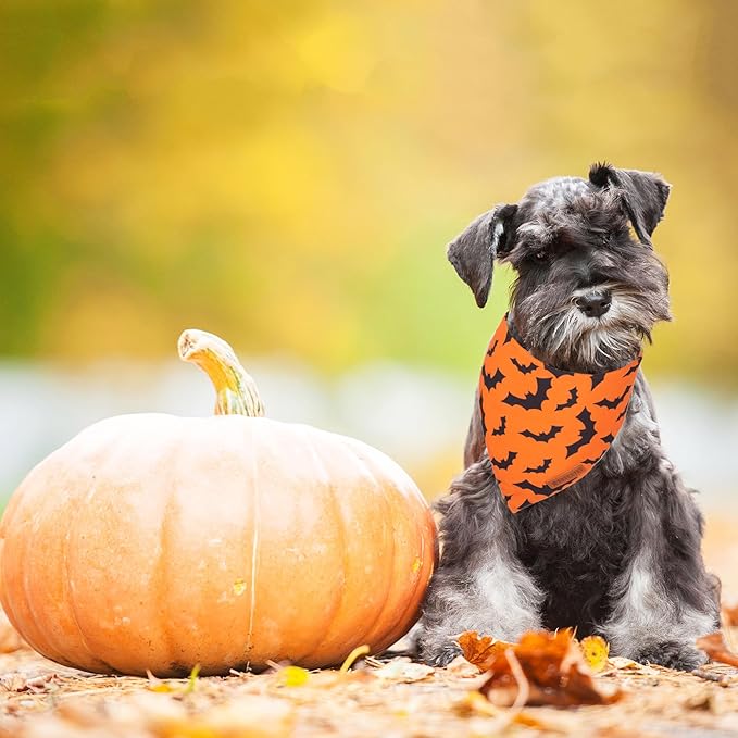 ADOGGYGO Halloween Dog Bandana, Pumpkin Bat Pet Scarf, Premium Durable Fabric, Orange Black Halloween Bandanas for Small Dogs Cats Puppies (Small)