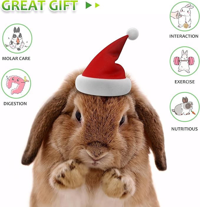 Rabbit Toys 33Pcs, Natural Hay Hamster Chew Toys for Teeth, Handmade Dried Sweet Teething Grass Sticks Watercress Carrot for Chinchillas Bunny Small Animals