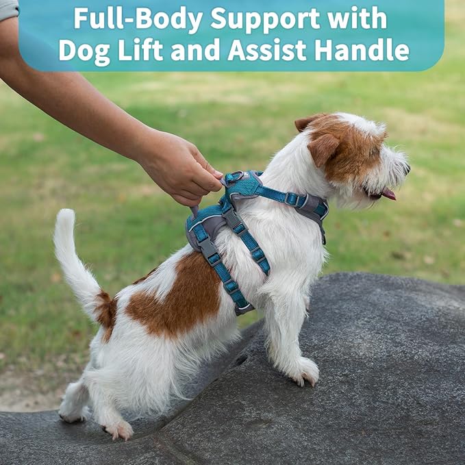 Huntboo Reflective Dog Harness with Handle, Escape Proof, No Slip, Breathable, Lightweight, Adjustable Lift Harness for Small, Medium, and Large Dogs Walking, Training, and Running Gear(Teal Blue,XS)