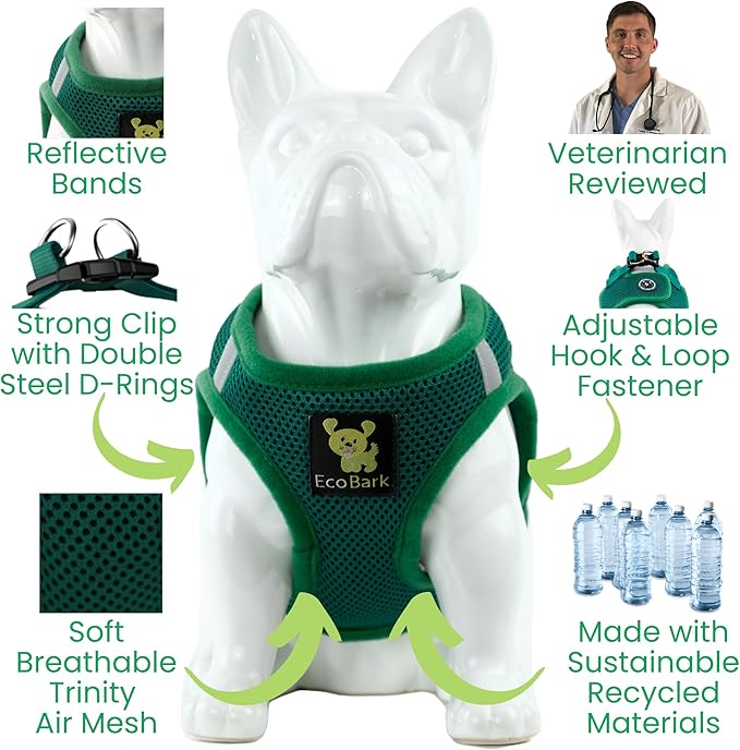 EcoBark Step in Dog Harness - Eco-Friendly Teacup Dog Harnesses for XXS, XS, and Small Breed Dogs - Reflective and Adjustable Mini Body Halter Vest -Tiny Soft Mesh Toy Breed Harness (Forest Green, XS)
