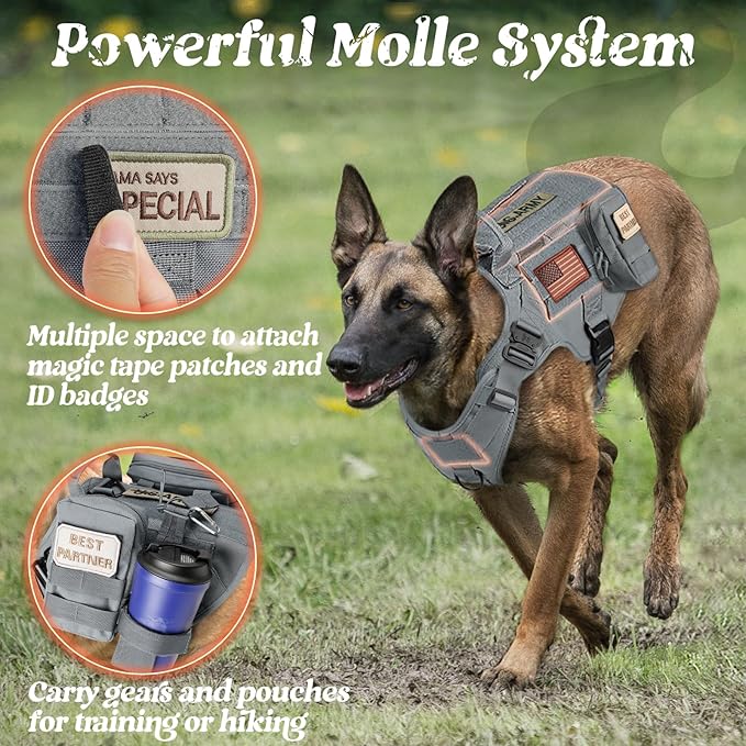 rabbitgoo Tactical Dog Harness for Small, Heavy Duty Pet Harness with Handle, No-Pull Service Vest Small Breed, Adjustable Military Dog Vest for Training Hunting Walking, Grey, S