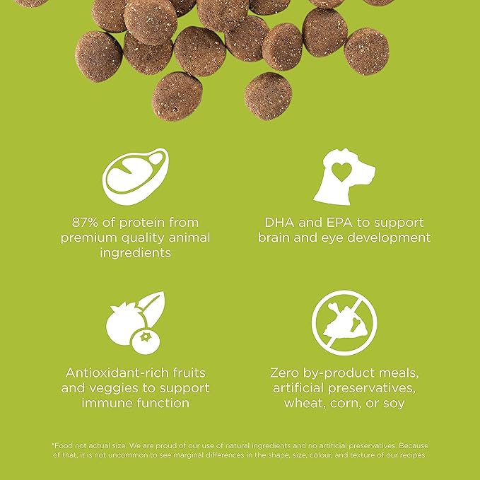 Go! Solutions Carnivore, Grain-Free, Protein Rich Dry Dog Food, Chicken, Turkey and Duck Puppy Recipe, Small Kibble, 12 lb Bag