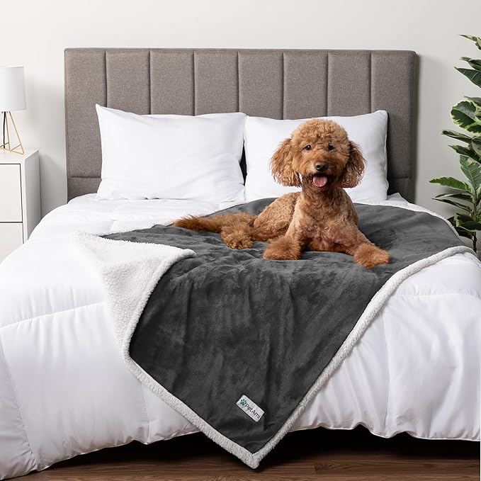 PetAmi Waterproof Dog Blanket for Medium Large XL Dog Puppy Cat Throw for Couch Cover Leakproof Protection, Sherpa Fleece, Reversible Soft Washable 80x60 Charcoal Gray