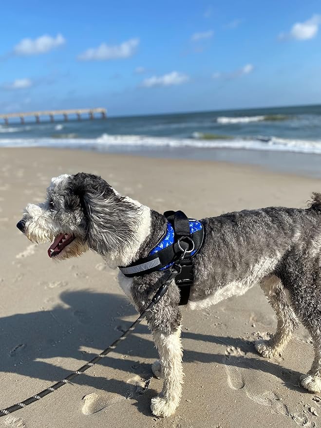 ShawnCo Essential Dog Harness, No-Pull Pet Vest with 3 Leash Clips, No Choke, Reflective, Adjustable and Padded, for Easy Walking and Training for Small, Medium and Large Dogs (White Sharks, S)