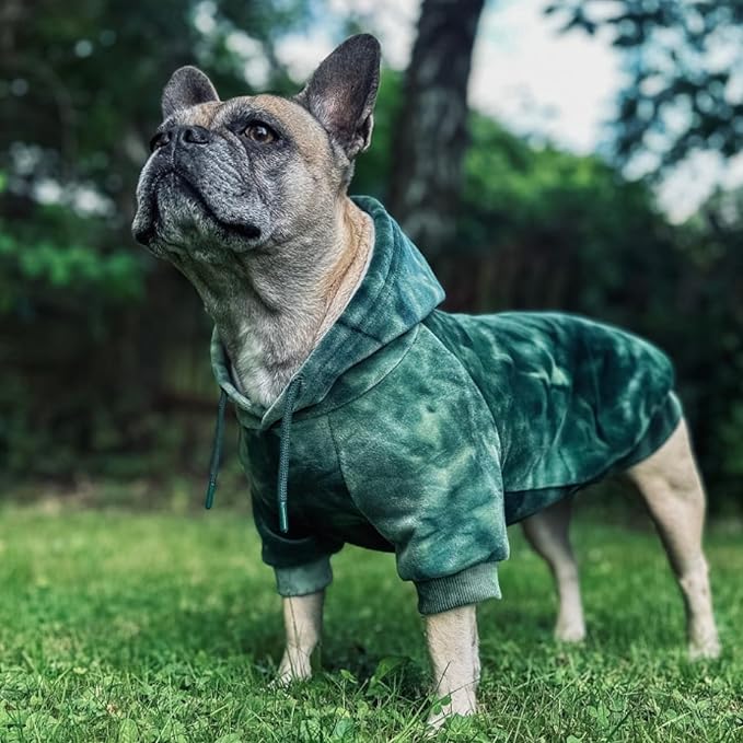 Spark Paws Dog Hoodie – Premium Dog Sweater for Small, Medium, and Large Dogs | Warm Outfits for French Bulldogs, Pitbull, Puppy, Winter Jacket Alternative - Green Skydye, 3XL