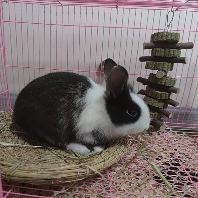 Rabbit Chew Toys for Teeth Grinding Bunny Treats 100% Natural Wood Timothy Grass Treats for Guinea Pigs Chinchillas Hamsters 6pcs