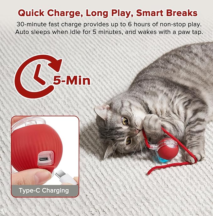 Interactive Cat Toys for Indoor Cats, Motion Activated Cat Ball with 3 Speeds, 2 Replaceable Tails, Safe Material Kitten Toys, USB Charging, 360° Smart Rolling Ball for Bored Adult Cats and Dogs