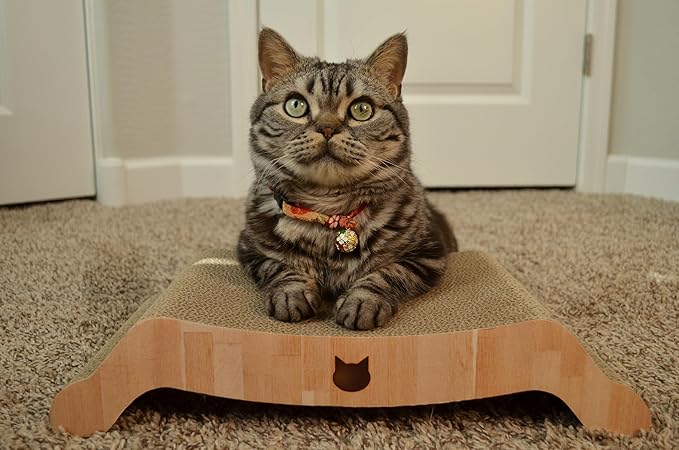 Necoichi Cardboard Cat Scratcher Bed for Indoor Cats - Cat Scratching Board, Horizontal Cat Scratch Pad Lounger with Reversible Usability and Extra Comfort for Lounge, Curved (17" Regular, Oak)
