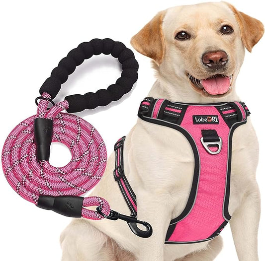 No Pull Harness with A Free Heavy Duty 5ft Leash for Medium Large Dog Adjustable Reflective Oxford Easy Control (L (Neck: 18"-25.5", Chest: 25.5"-31"), Pink Harness+Leash)