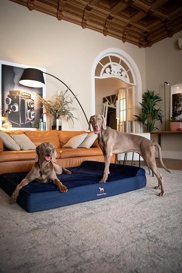 NOAH & PAW Giant Dog Bed XXL 55x45x9.5 Inch, Orthopedic Dog Beds, Eggshell Memory Foam Infused with Cooling Gel, Waterproof, Machine Washable, Includes Inner Cover (Denim Collection)