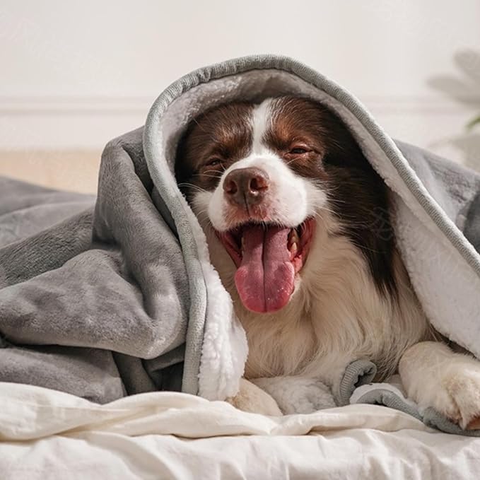 gogobunny Waterproof Bed Blanket, Reversible Sherpa Fleece Throw Blanket for Dog Puppy Cat, Furniture Cover Protects Bed Couch Sofa from Liquid Pee and Pet Fur (Grey, 60x80 inches)