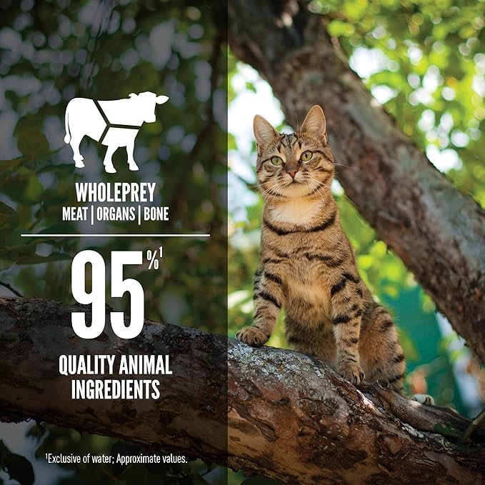 ORIJEN Premium Pate Wet Cat Food in Bone Broth Regional Red Entrée 3oz Cans (24 Count)