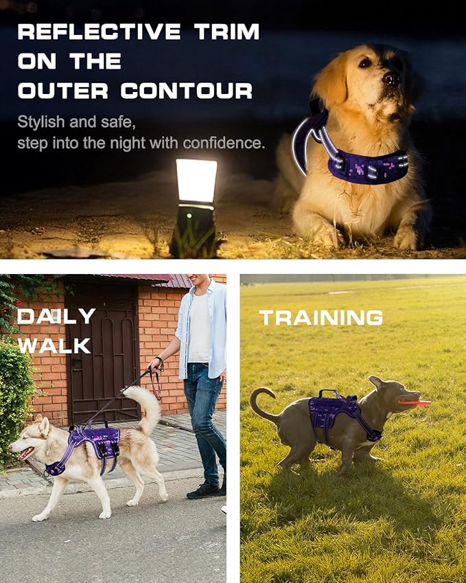 Small Dog Harness, Heavy Duty Tactical No Pull Dog Harness, No Choke, Easy On and Off Pet Vest with Molle System, Adjustable Reflective Dog Vest with Breathable Padded for Walking Hiking Training