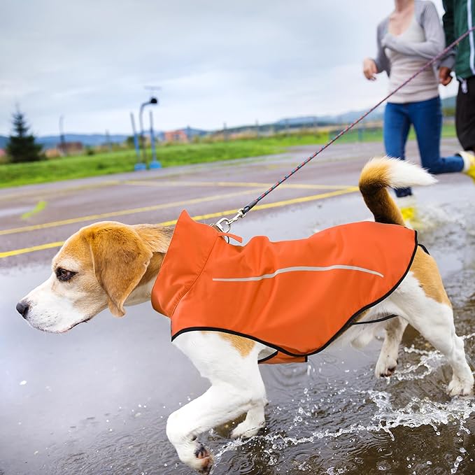 Mile High Life Dog Raincoat, Adjustable Waterproof Reflective Rain Jacket for Small Medium Large Dogs, Lightweight Breathable Pet Rain Coat with Leash Hole(Orange,XS Chest 17-23")