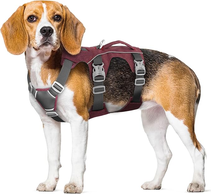 Escape Proof Dog Harness with Handle - Reflective No Pull Dog Vest, Lightweight Full Body Pet Harness Adjustable for Small Dogs Walking,Training(Blue,Chest:14-22")