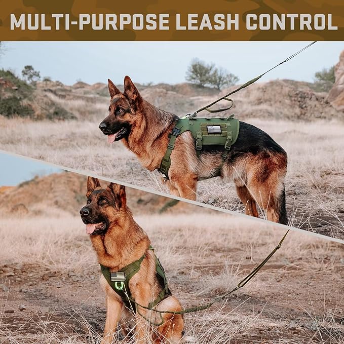 Forestpaw Tactical Dog Harness for Large Dogs,Tactical Dog Collar with Bungee Leash Set,No Pull Military Dog Harness for Walking Training,Adjustable for Medium Large Dogs,Green,Chest 19.5-41.5"