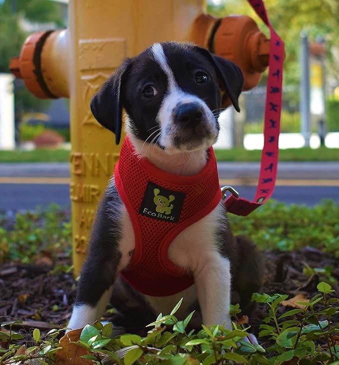 EcoBark Step in Dog Harness - Eco-Friendly Teacup Dog Harnesses for XS and Small Dogs - Reflective and Adjustable Mini Body Halter Vest -Tiny Soft Mesh Toy Breed Harness (Red, XS)