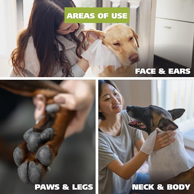 Wahl Refresh Massive Dog Wipes for Cleaning and Odor Control, Face, Body, Butt and Paw Cleaner for Dogs, Coconut Lime Verbena Scent, 36 Count, Model 3027119