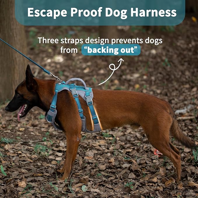 Huntboo Reflective Dog Harness with Handle, Escape Proof, No Slip, Breathable, Lightweight, Adjustable Lift Harness for Small, Medium, and Large Dogs Walking, Training, and Running Gear(Teal Blue,L)