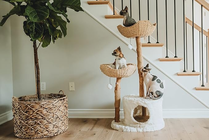 Modern Cat Tree Tower, Real Branch luxury Cat Condo, Wood Cat Tower, Cat Scratching Tree, Cat Condo, Cat Lover Gift, Luxury Cat, Cat Gifts by Mau Lifestyle