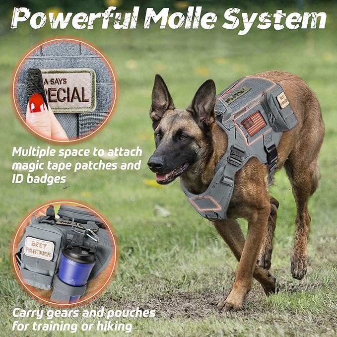 rabbitgoo Tactical Dog Harness for Large, Heavy Duty Pet Harness with Handle, No-Pull Service Vest Large Breed, Adjustable Military Dog Vest for Training Hunting Walking, Grey, L