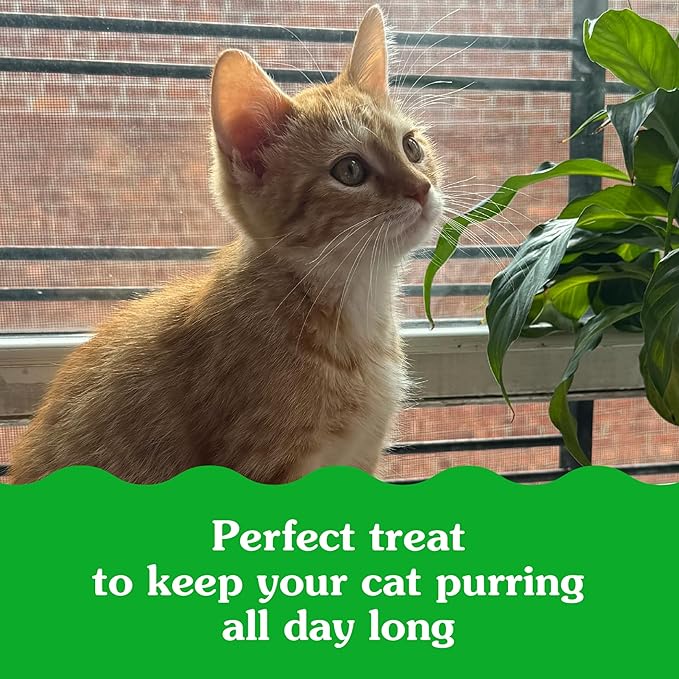 Greenies Feline Smartbites Healthy Kitten Treats, Crunchy and Soft Natural Cat Treats, Chicken Flavor, 16 oz Tub