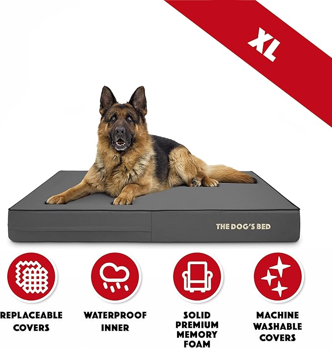The Dog’s Bed Orthopedic Memory Foam Dog Bed, XL Grey & Black, Waterproof, Supportive Dog Bed with Replaceable Covers