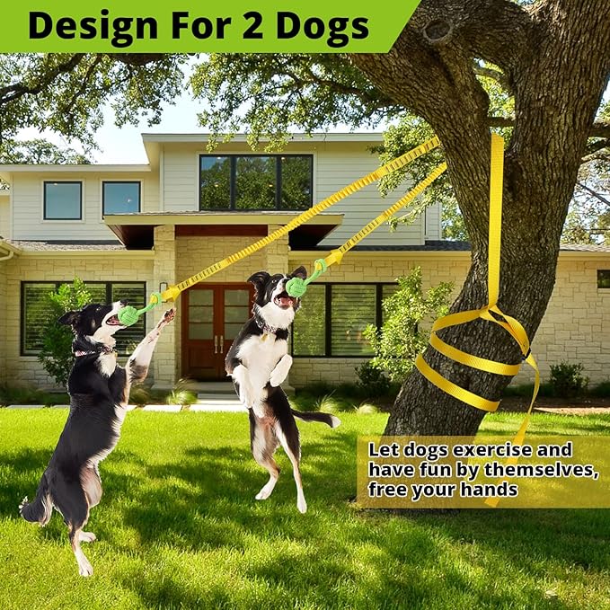 Dog Hanging Bungee Tug Toy for Two Dogs: Interactive Tether Tug-of-War for Pitbull Small to Large Dogs to Exercise - Durable Retractable Tugger Dog Rope Toy with 2 Chew Rope Toys