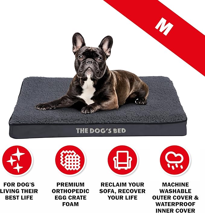 The Dog’s Bed Orthopedic Dog Bed, Medium Grey Plush, Waterproof, Supportive Dog Bed with Washable Replaceable Covers