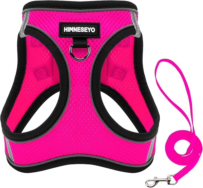 Dog Harness and Leash Set, Dog Harness for Dogs No Pull, No-Chock Step-in Reflective Breathable Lightweight Easy Walk Vest Harnesses with Safety Buckle for Small Medium Dogs, Cats (Rose red, M)