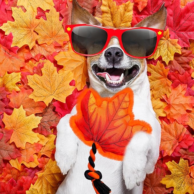 Thanksgiving Dog Toys, Maple Leaf Fall Dog Toys with Cotton Rope and Squeaker, Thanksgiving Dog Gifts for Small and Medium Dogs