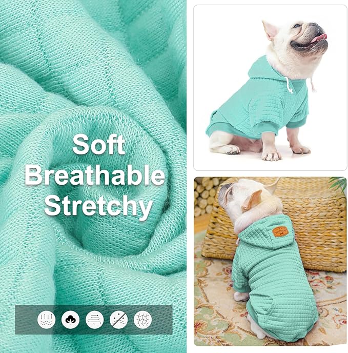 BEAUTYZOO Small Dog Hoodie Sweater with Pockets, Dog Clothes for Small Medium Dogs Boy Girl, Waffle-Like Laminated Cotton Pet Coats with Hat and Leash Hole, Mint Green S